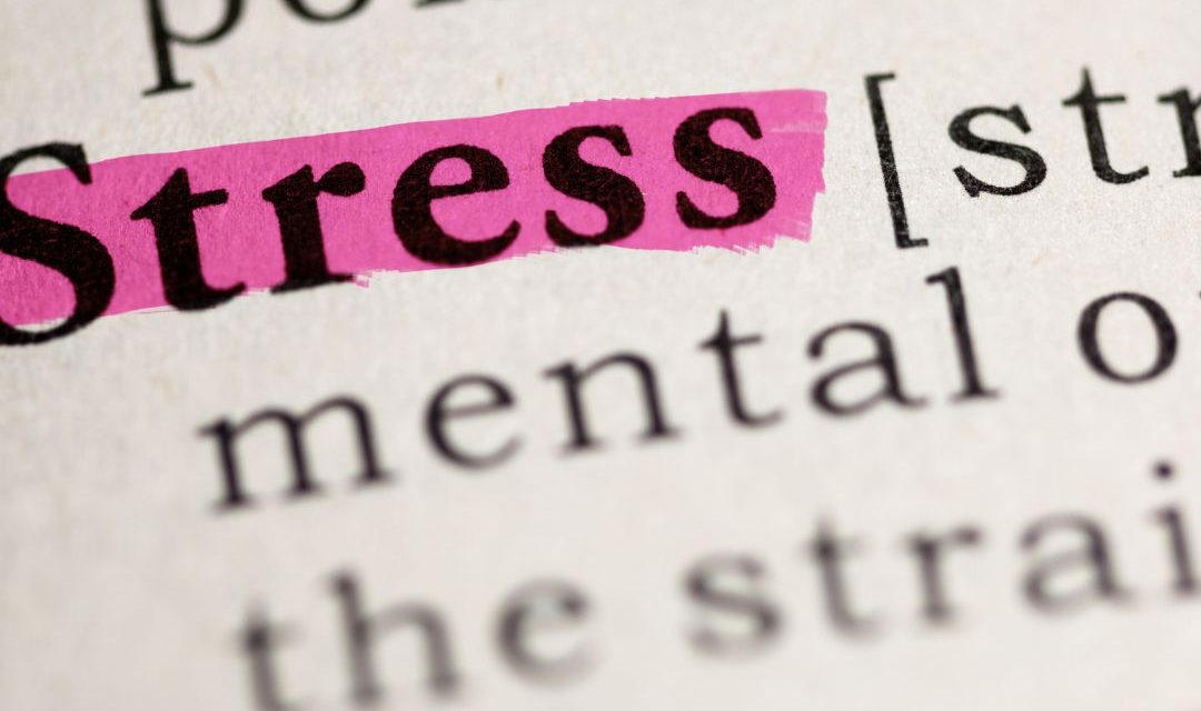 My Top 5 Stress Management Multitaskers