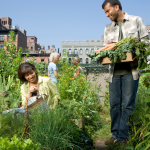 Planning: Re-imagining Community Opportunities As You Full-time Travel