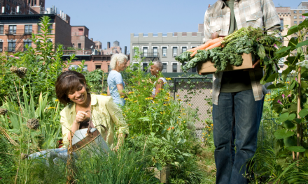 Planning: Re-imagining Community Opportunities As You Full-time Travel