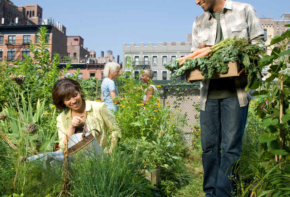 Planning: Re-imagining Community Opportunities As You Full-time Travel